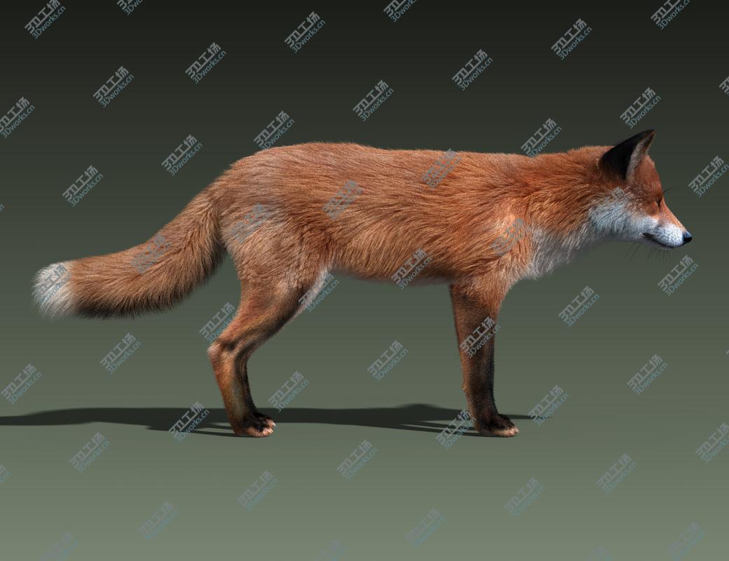 images/goods_img/202104091/Red Fox(FUR)(RIGGED)/3.jpg